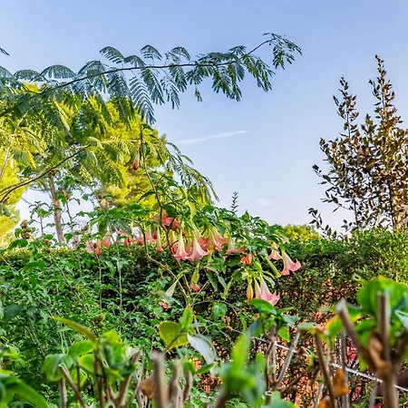 1 Bedroom In Premantura