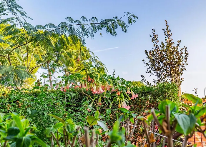 1 Bedroom In 普莱曼图拉